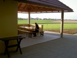 PICT5031